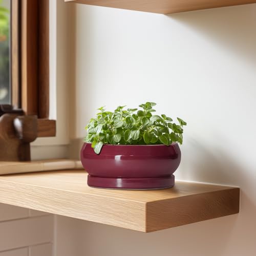 Bonsai Pots Small (6 Inch / Wine Red)