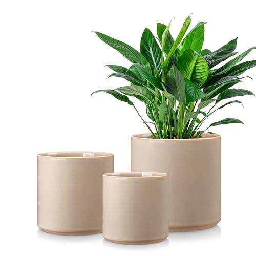 6"+8"+10" Ceramic Pot for Plants (Gray / 6+8+10 Inch)