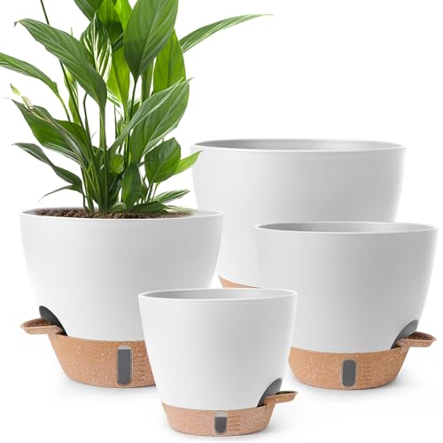 Self Watering Pots for Indoor Plants 12 (White)