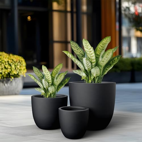 Set of 3 Black Concrete Bowl Round Planters for Modern Home (Black / Set of 3: 10/14/18-Inch Dia)