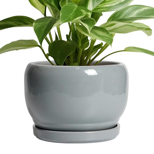 Ceramic Pot for Plants