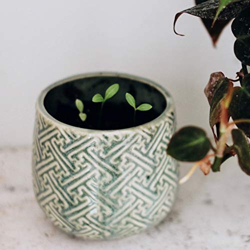 The Growing Candle (Ida)