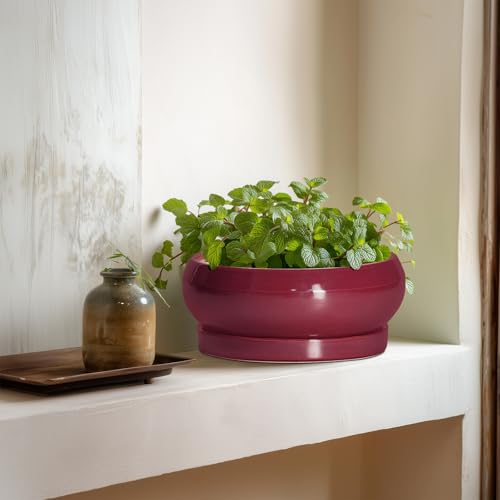 Succulent Pots (8 Inch / Wine Red)