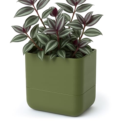 6.5 Inch Wall Mounted Self (6.5" (1 Pack) / Olive)