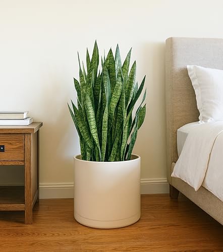 Plastic Planter Pot with Saucer (14 Inch / Oatmeal)