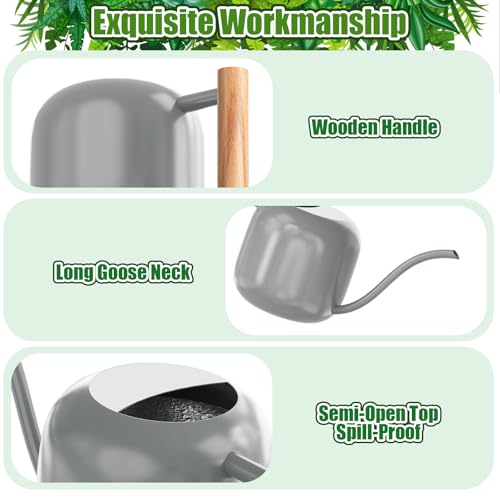 1.2L 41oz Metal Metal Watering Can with Long Spout (Gray)