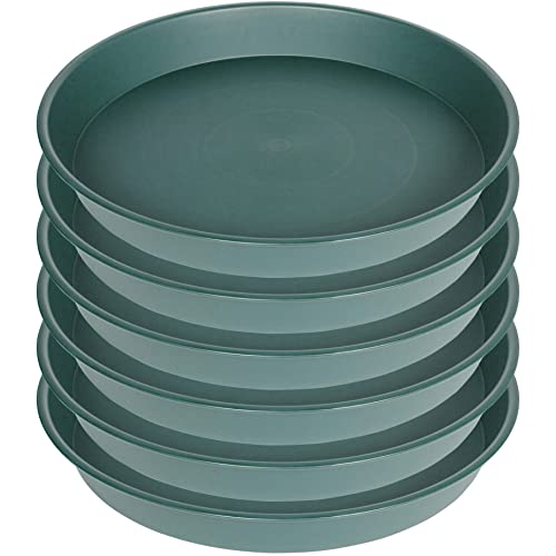 6 Pack of 10 inch Plant Saucer Bird Bath Bowl