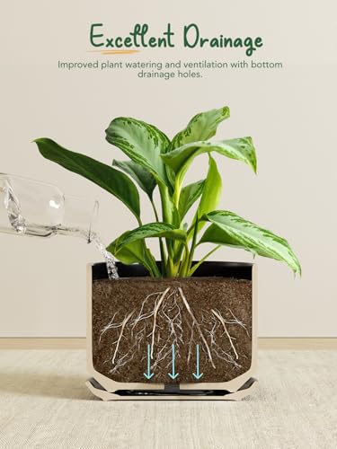 Ceramic Plant Pots (Black / 8"+10")