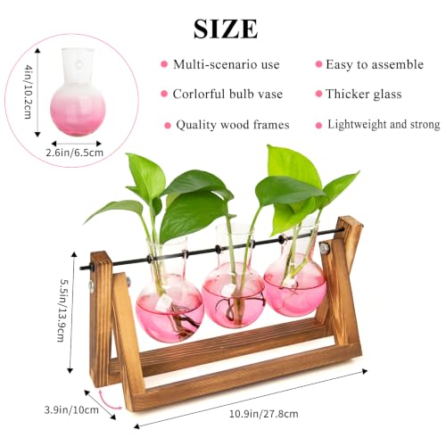 Plant Terrarium Kit with Wooden Stand 3 Gradient Pink Bulb Vases (Pink)