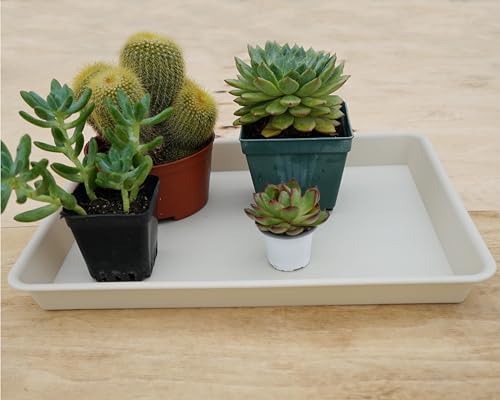 Rectangle Plant Tray