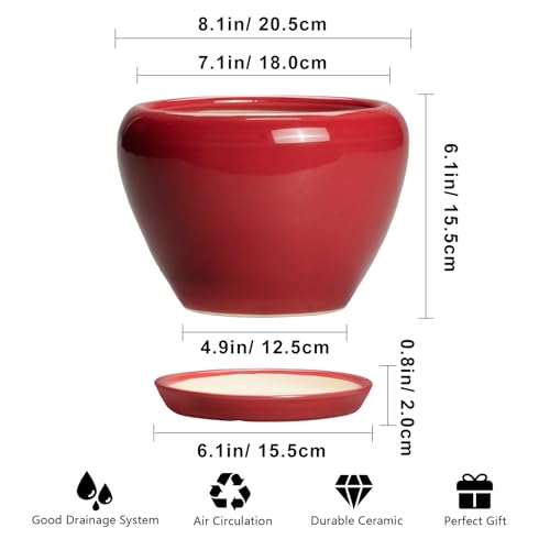 Ceramic Planter for Indoor Plants (8 Inch / Glossy Red)
