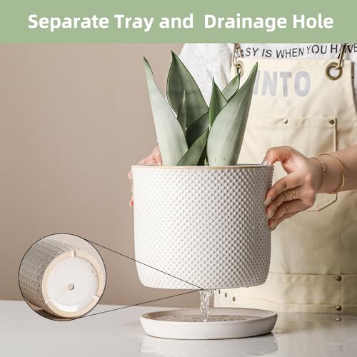 8 Inch Plant Pots