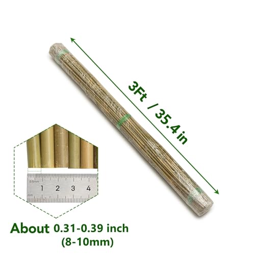 60Pcs Bamboo Stakes for Plant 3 Feet (3ft-60 Pcs)