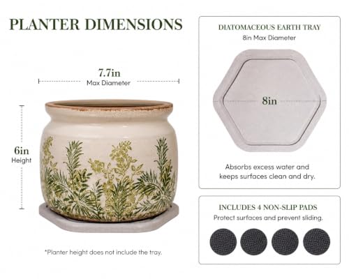 Cottage Ceramic Flower Pots with Decorative Saucer (Cottage Fern / 7.7 in - w/ Saucer)
