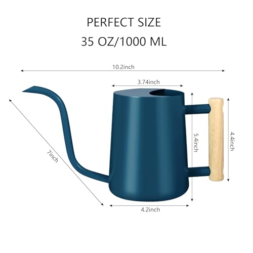 Watering Can Indoor Plants (Dark Blue)