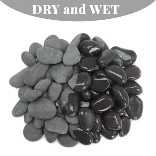 10LB Black Stones Pebbles River Rocks (0.8-1.5in / 10lb)