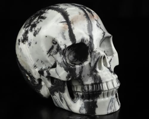 5.0" Black Picasso Jasper Crystal Skull (Skullis 5.0" Black Picasso Jasper 55)
