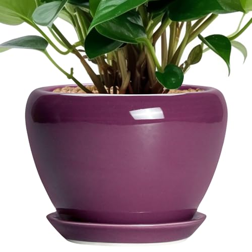 Ceramic Pots for Plants 6 Inch (6 Inch / Purple)