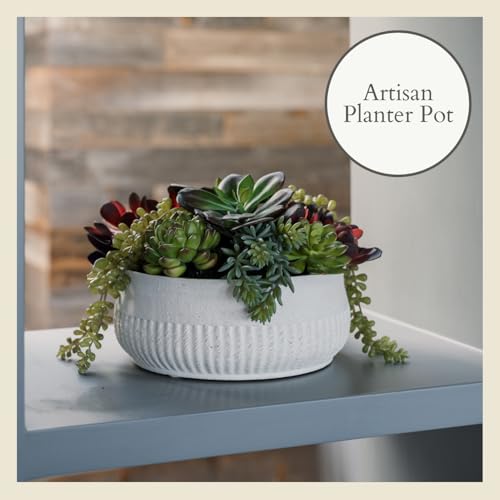 Round Faux Succulent Arrangement (12" Round White)