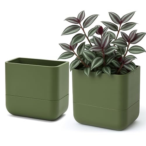 6.5 Inch Wall Mounted Self (6.5" (2 Pack) / Olive)