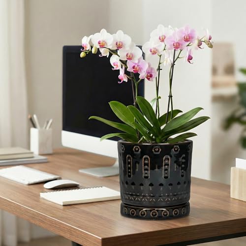 8 Inch Pots for Plants (8 Inch / Black - 2)