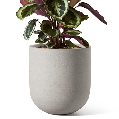 8 Inch Ceramic Plant Pot (Neutral Gray / 8 Inch)