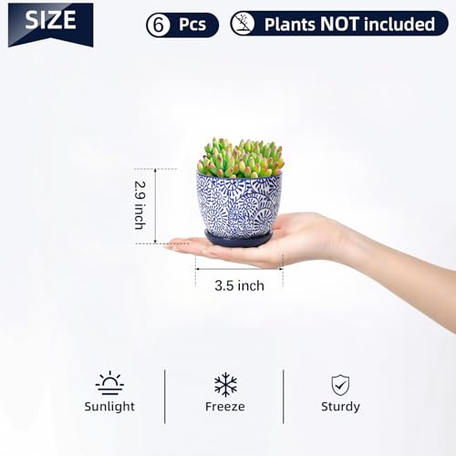 Ceramic Succulent Pots (Vintage Blue / 3.5 Inch, Set of 6)