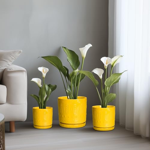 Ceramic Flower Pots (12 Inch / Yellow)