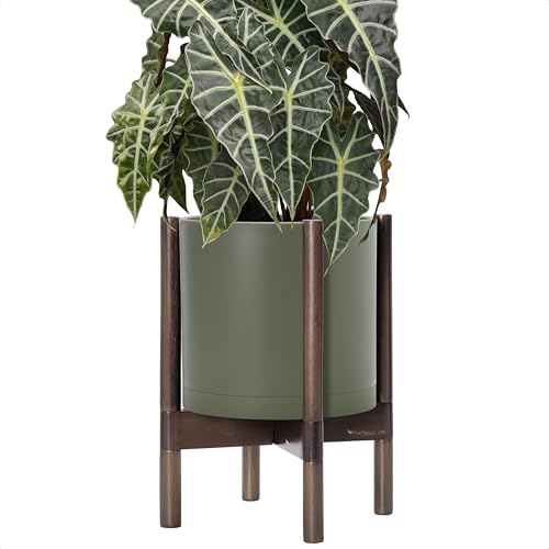 Plastic Pot with Walnut Wood Stand (Olive Pot + Walnut Color Stand / 10 Inch)