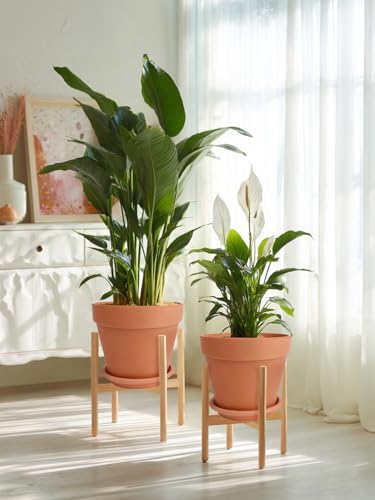 Terracotta Pot Set of 2 with Saucer (10/10 inch -2 pcs)