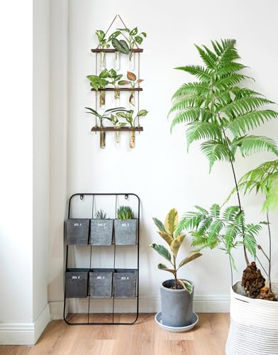 Plant Propagation Station (Small / Brown)