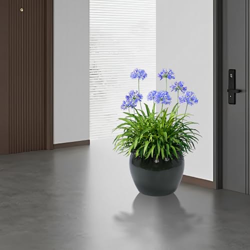Ceramic Plant Pots Set of 3 Size (Antique Blue Green)