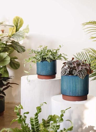 Ceramic Plant Pots with Drainage Holes (3 Count)