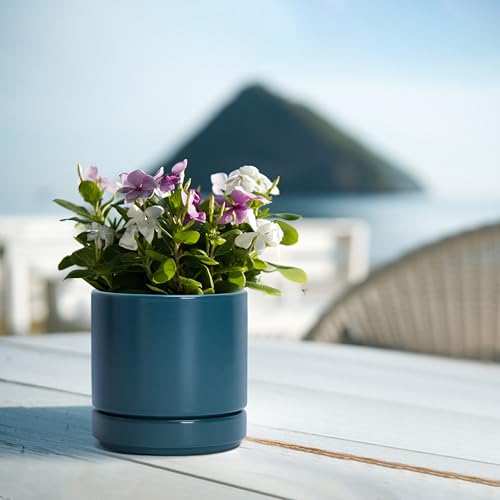 2 Pack Ceramic Pots with Saucers (2 Count)