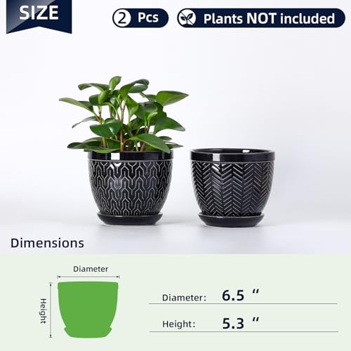 Sureasy 6.5 Inch Ceramic Plant Pots (Black / 6.5 inch)