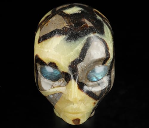 3.5" Dragon Septarian Stone Hand Carved Fairy Elf Alien Crystal Skull Companion with Eyes (Skullis 3.5" Dragon Septarian Stone 81)