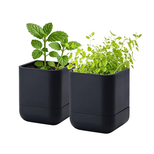 3.5 Inch Wall Mounted Self (3.5" (2 Pack) / Black)