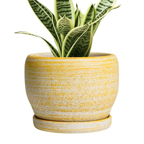 Ceramic Planter
