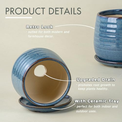 Ceramic Plant Pots with Drainage Holes and Saucers (3 Count)