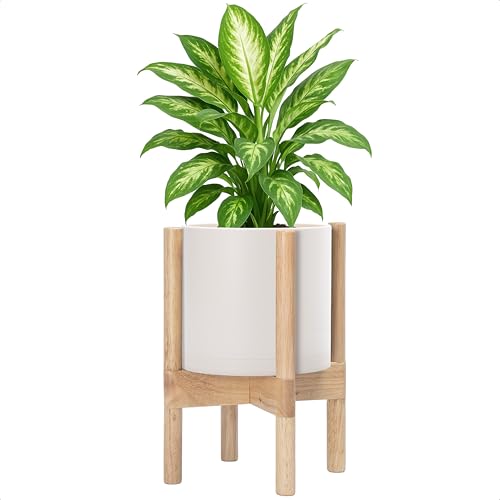 Plastic Pot with Natural Wood Stand (Oatmeal Pot + Natural Stand / 8 Inch)