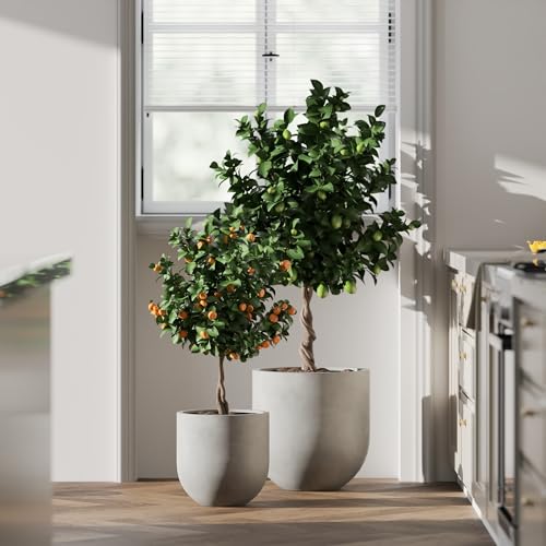 Signature Mount Antero 15.7''D x 15.7''H Modern Indoor Outdoor Fiberstone Bullet Shaped Planter (Medium / Gray)