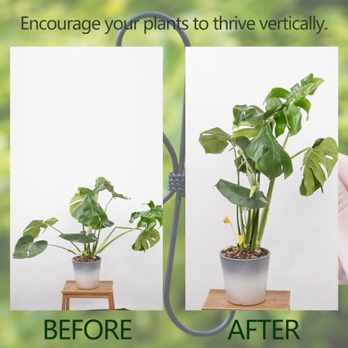 5PCS Black Monstera Plant Stem Support (Black / 7.5IN*7.5IN)