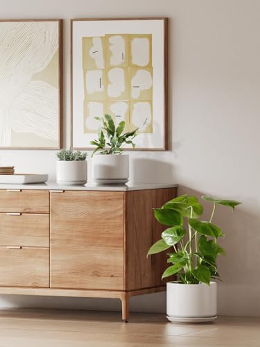 10 inch Plant Pot (White / 10")