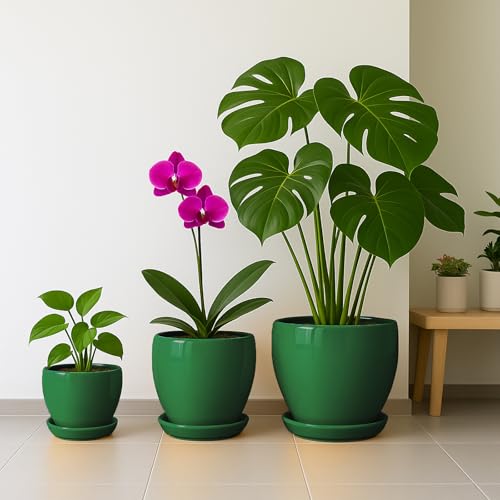 10 Inch Plant Pot
