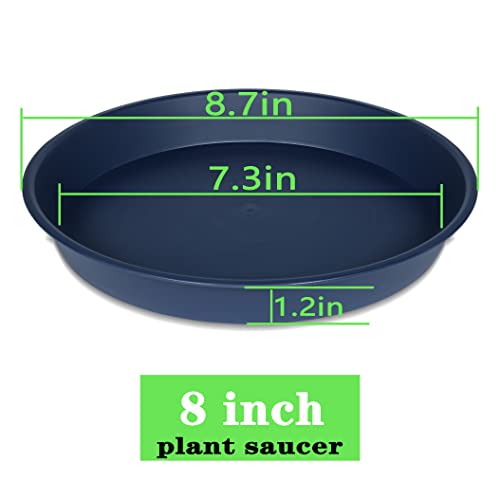 2 Pack of 8 inch Plant Saucer Clear (8" (2 pack) / Blue)
