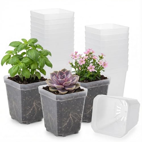 120 Packs Square Clear Nursery Pots with Drainage (Clear / 2.7" 120P)
