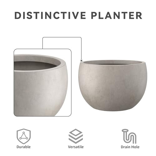 Small Round Bowl Weathered Concrete Planter 11.8" Dia (Weathered Concrete / 11.8" d)