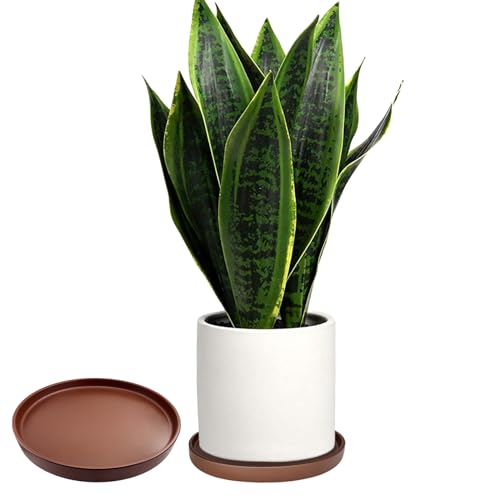 4 Pack Ceramic Plant Saucer Pot Tray 4 Inch ((4.5"/4.1")-4pack / Brown)