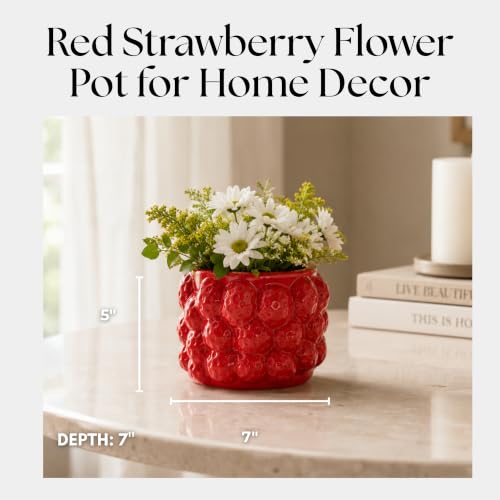 Fruit Inspired Planter for Indoor and Outdoor Display (Red / 5")
