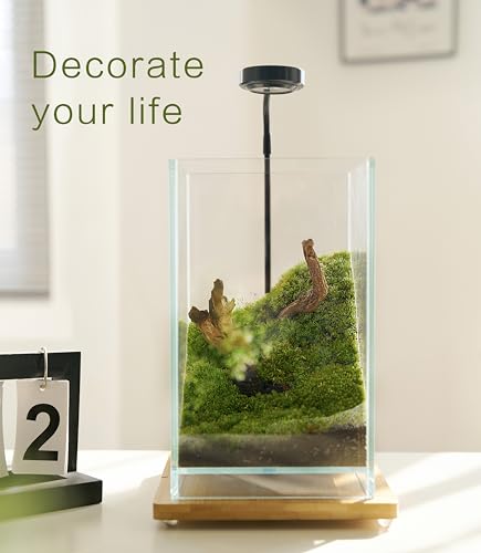 27 PCS Glass Plant Terrarium Kit with LED Grow Light (Tall Cube Set)